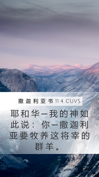 撒 迦 利 亚 书 11:4 CUVS Bible Verse Image