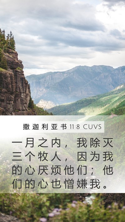 撒 迦 利 亚 书 11:8 CUVS Bible Verse Image