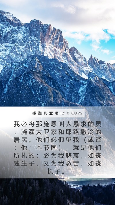 撒 迦 利 亚 书 12:10 CUVS Bible Verse Image