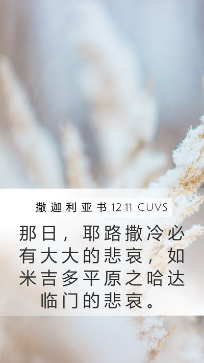 撒 迦 利 亚 书 12:11 CUVS Bible Verse Image