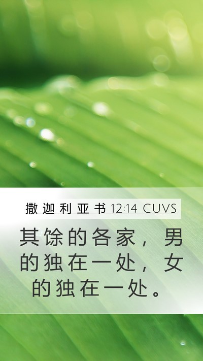 撒 迦 利 亚 书 12:14 CUVS Mobile Phone Wallpaper - 其 馀 的 各 家 ， 男 的 独 在 一 处 - Mobile Bible Verse Wallpaper