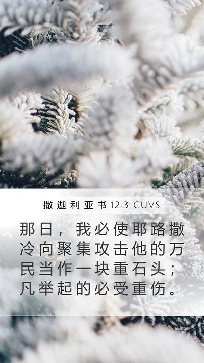 撒 迦 利 亚 书 12:3 CUVS Bible Verse Image