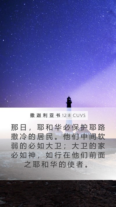 撒 迦 利 亚 书 12:8 CUVS Bible Verse Image