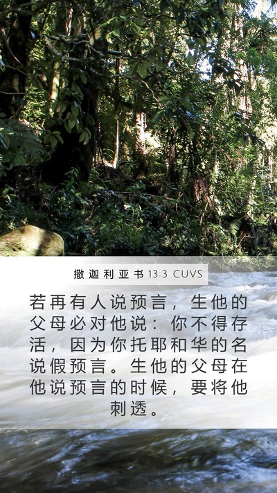 撒 迦 利 亚 书 13:3 CUVS Bible Verse Image