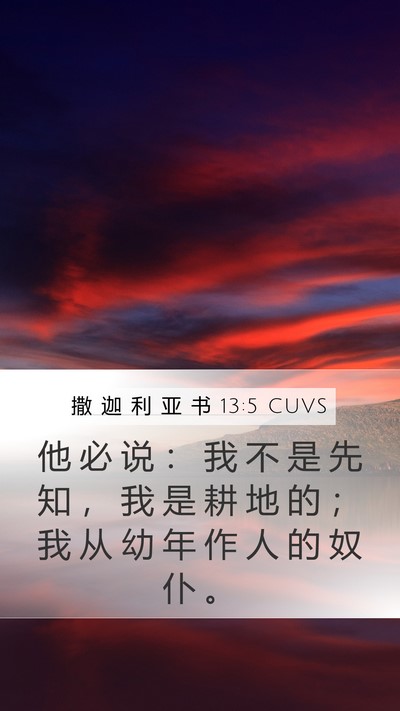 撒 迦 利 亚 书 13:5 CUVS Bible Verse Image