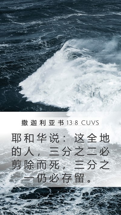 撒 迦 利 亚 书 13:8 CUVS Bible Verse Image