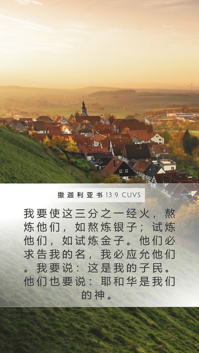 撒 迦 利 亚 书 13:9 CUVS Bible Verse Image