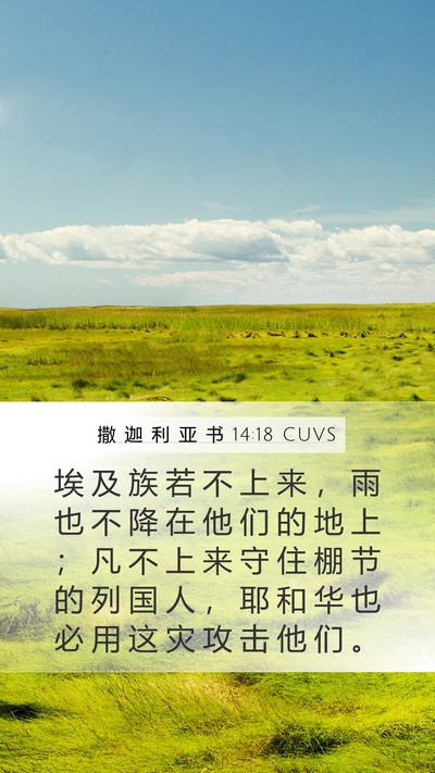 撒 迦 利 亚 书 14:18 CUVS Bible Verse Image