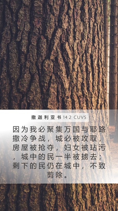 撒 迦 利 亚 书 14:2 CUVS Bible Verse Image