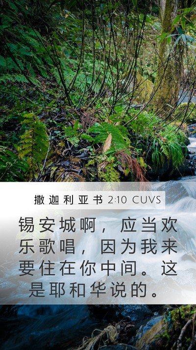 撒 迦 利 亚 书 2:10 CUVS Bible Verse Image