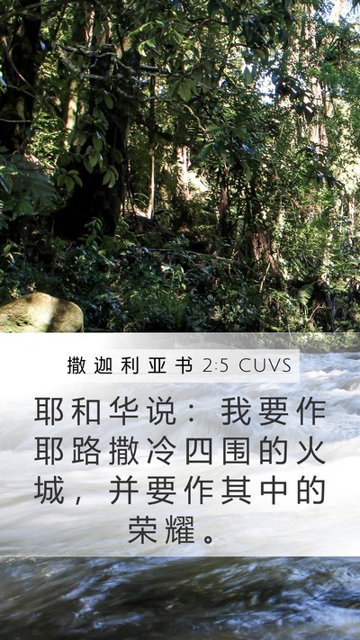 撒 迦 利 亚 书 2:5 CUVS Bible Verse Image