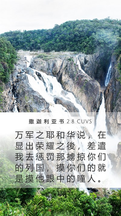撒 迦 利 亚 书 2:8 CUVS Bible Verse Image