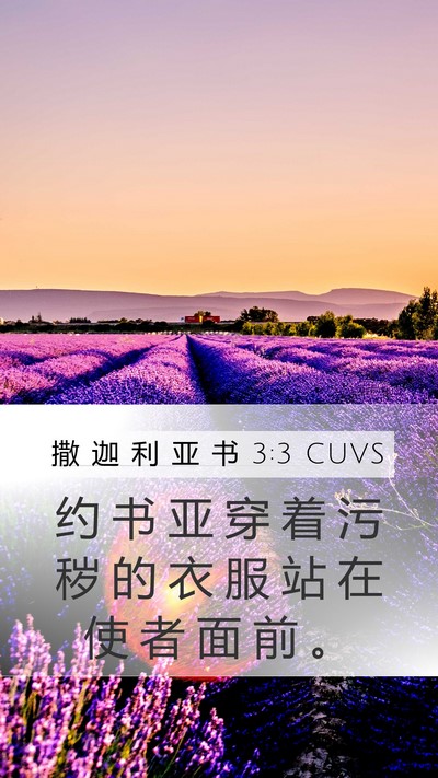 撒 迦 利 亚 书 3:3 CUVS Bible Verse Image