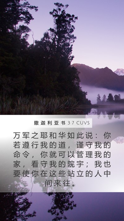 撒 迦 利 亚 书 3:7 CUVS Bible Verse Image