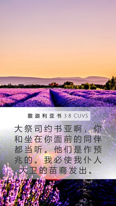 撒 迦 利 亚 书 3:8 CUVS Bible Verse Image