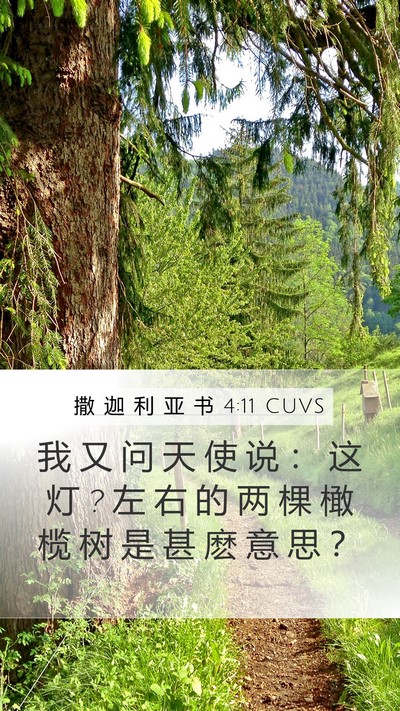 撒 迦 利 亚 书 4:11 CUVS Bible Verse Image