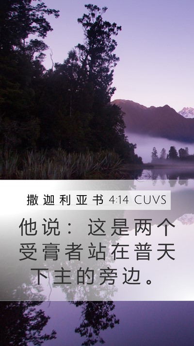 撒 迦 利 亚 书 4:14 CUVS Bible Verse Image