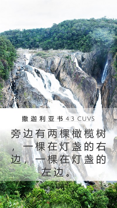 撒 迦 利 亚 书 4:3 CUVS Mobile Phone Wallpaper - 旁 边 有 两 棵 橄 榄 树 ， 一 棵 在 - Mobile Bible Verse Wallpaper
