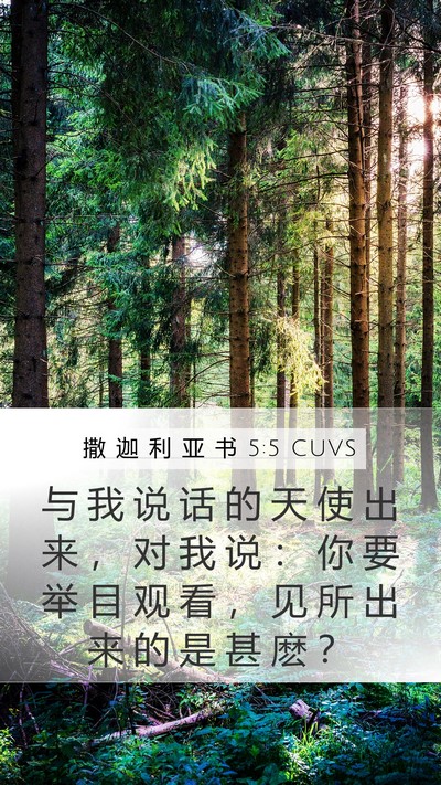 撒 迦 利 亚 书 5:5 CUVS Bible Verse Image