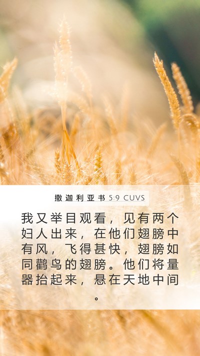 撒 迦 利 亚 书 5:9 CUVS Bible Verse Image