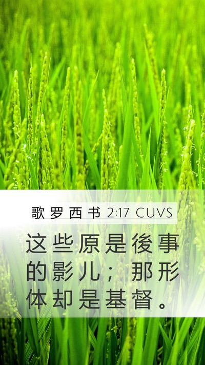 歌 罗 西 书 2:17 CUVS Mobile Phone Wallpaper - 这 些 原 是 後 事 的 影 儿 ； 那 形 - Mobile Bible Verse Wallpaper