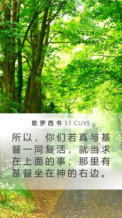 歌 罗 西 书 3:1 CUVS Mobile Phone Wallpaper - 所 以 ， 你 们 若 真 与 基 督 一 同 - Mobile Bible Verse Wallpaper