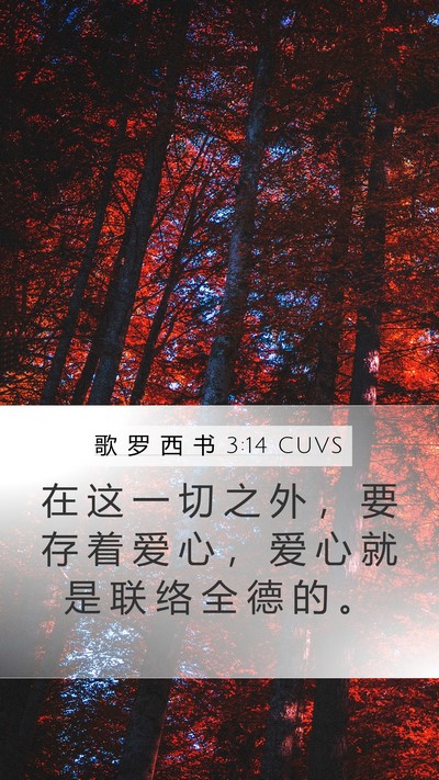 歌 罗 西 书 3:14 CUVS Bible Verse Image