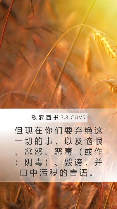 歌 罗 西 书 3:8 CUVS Bible Verse Image