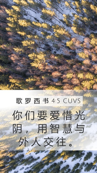 歌 罗 西 书 4:5 CUVS Bible Verse Image