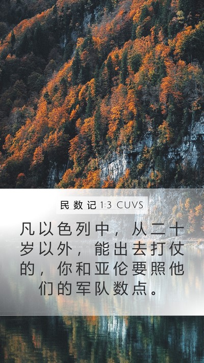 民 数 记 1:3 CUVS Mobile Phone Wallpaper - 凡 以 色 列 中 ， 从 二 十 岁 以 外 - Mobile Bible Verse Wallpaper