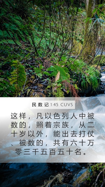 民 数 记 1:45 CUVS Bible Verse Image