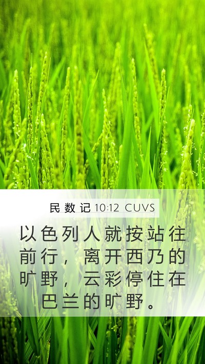 民 数 记 10:12 CUVS Bible Verse Image