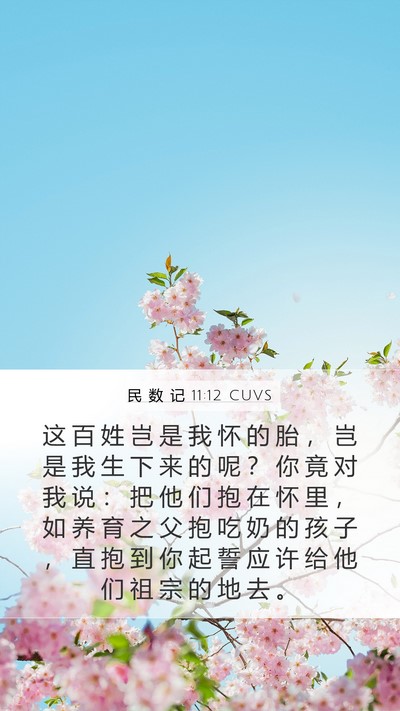 民 数 记 11:12 CUVS Mobile Phone Wallpaper - 这 百 姓 岂 是 我 怀 的 胎 ， 岂 是 - Mobile Bible Verse Wallpaper