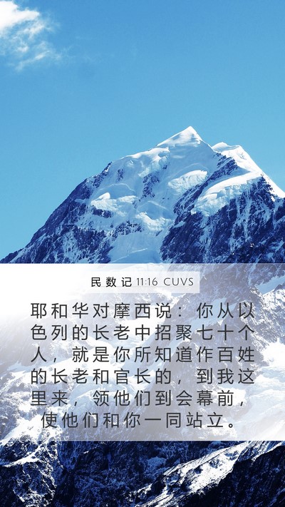 民 数 记 11:16 CUVS Bible Verse Image