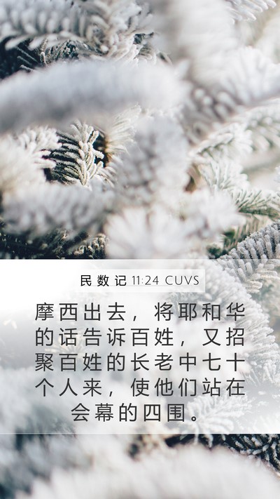 民 数 记 11:24 CUVS Bible Verse Image