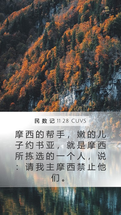民 数 记 11:28 CUVS Bible Verse Image