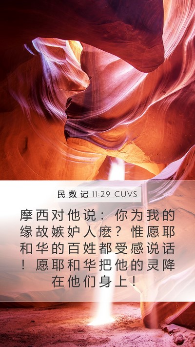 民 数 记 11:29 CUVS Bible Verse Image