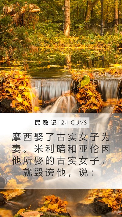 民 数 记 12:1 CUVS Bible Verse Image