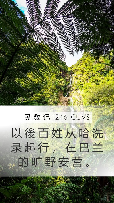 民 数 记 12:16 CUVS Bible Verse Image
