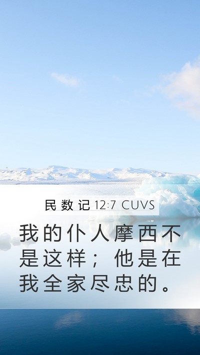 民 数 记 12:7 CUVS Bible Verse Image