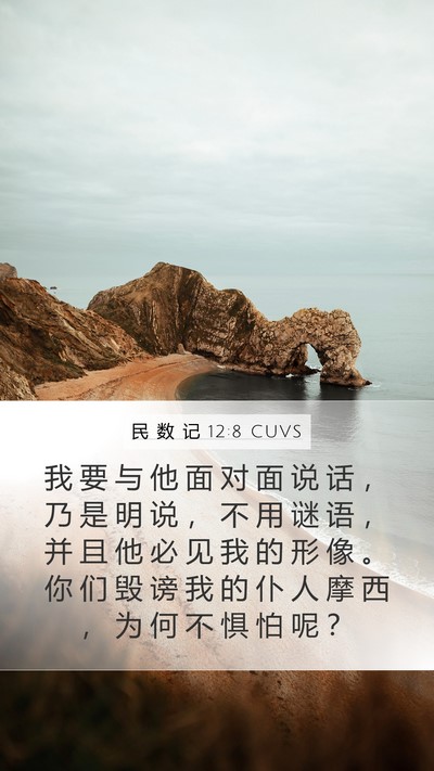 民 数 记 12:8 CUVS Bible Verse Image