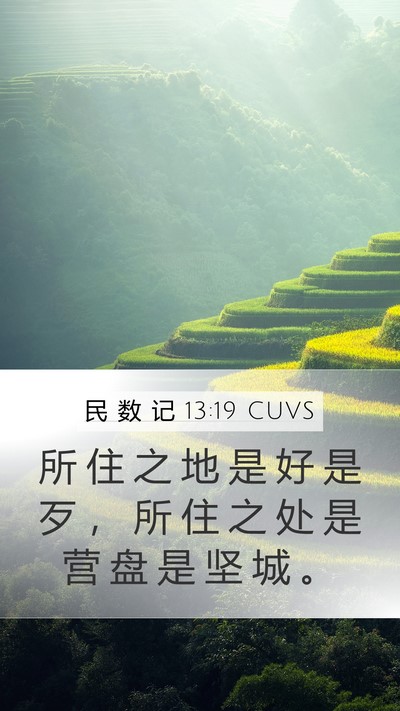 民 数 记 13:19 CUVS Mobile Phone Wallpaper - 所 住 之 地 是 好 是 歹 ， 所 住 之 - Mobile Bible Verse Wallpaper