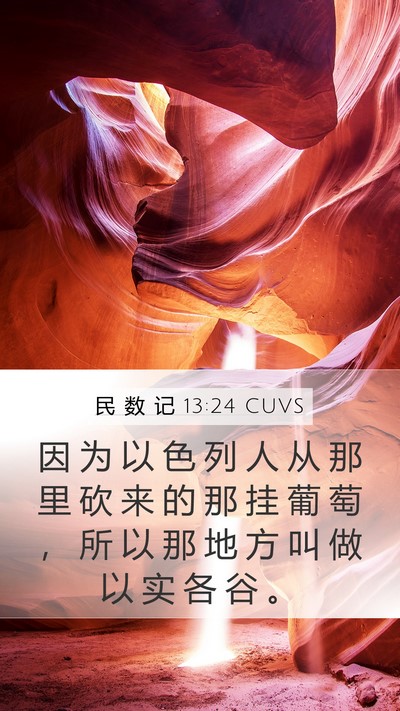 民 数 记 13:24 CUVS Mobile Phone Wallpaper - 因 为 以 色 列 人 从 那 里 砍 来 的 - Mobile Bible Verse Wallpaper