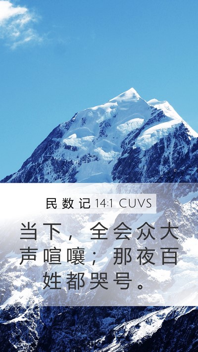 民 数 记 14:1 CUVS Bible Verse Image