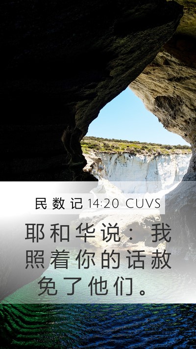 民 数 记 14:20 CUVS Bible Verse Image