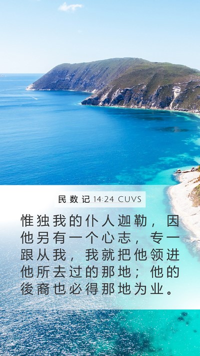 民 数 记 14:24 CUVS Bible Verse Image