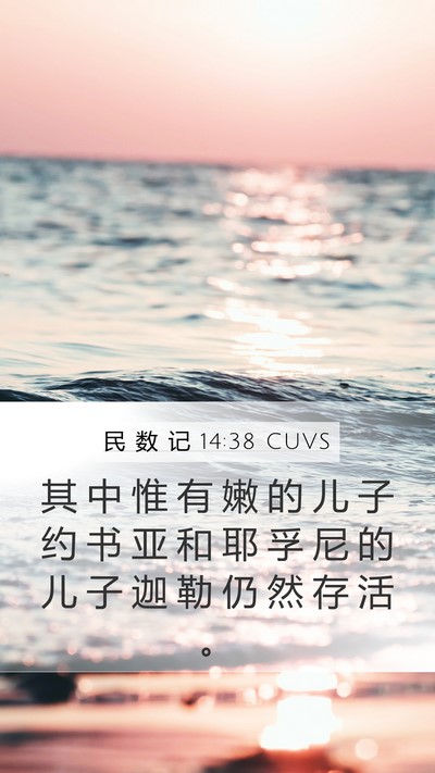 民 数 记 14:38 CUVS Bible Verse Image