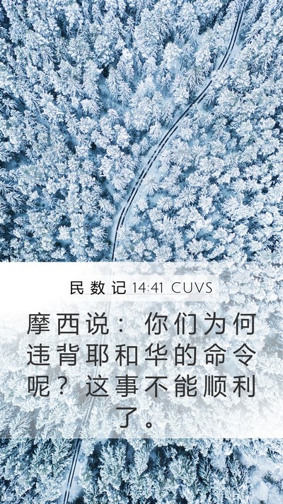 民 数 记 14:41 CUVS Bible Verse Image
