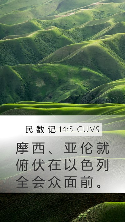 民 数 记 14:5 CUVS Bible Verse Image