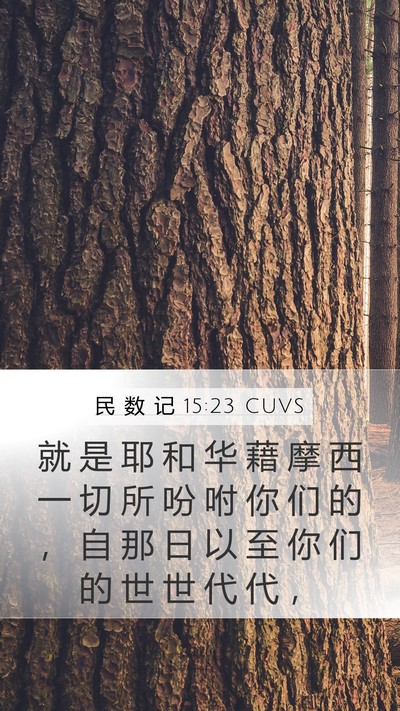 民 数 记 15:23 CUVS Mobile Phone Wallpaper - 就 是 耶 和 华 藉 摩 西 一 切 所 吩 - Mobile Bible Verse Wallpaper